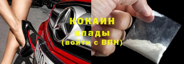 метадон Алексин