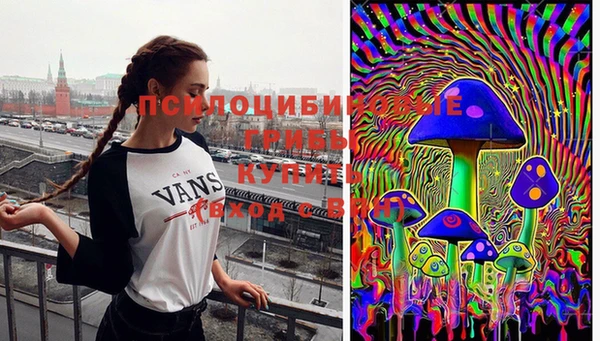 метадон Алексин