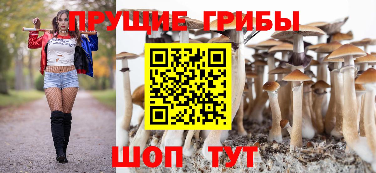 Димитровград  Галлюциногенные грибы мухоморы  Вход с VPN  где можно купить   Псилоцибиновые грибы MAGIC MUSHROOMS 